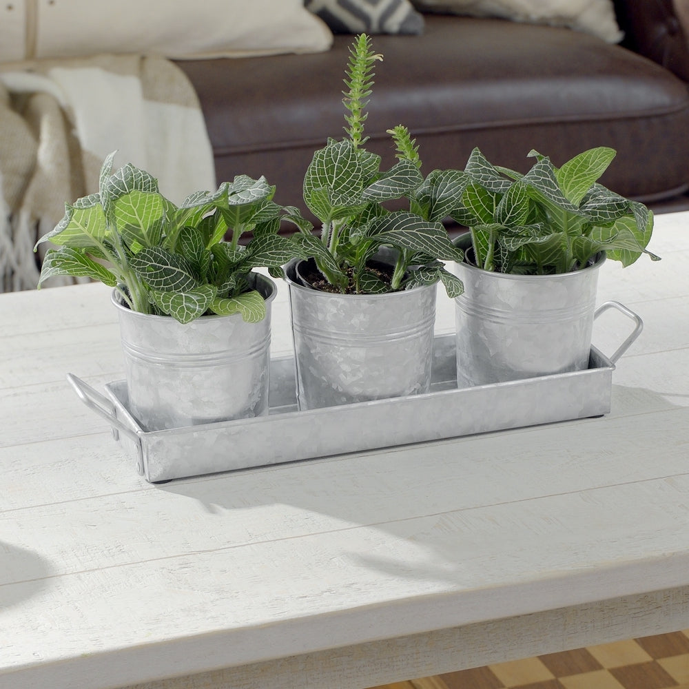 Decorative Farmhouse Galvanized Flower Pot Set w/ Tray (3 pots) by Walford Home
