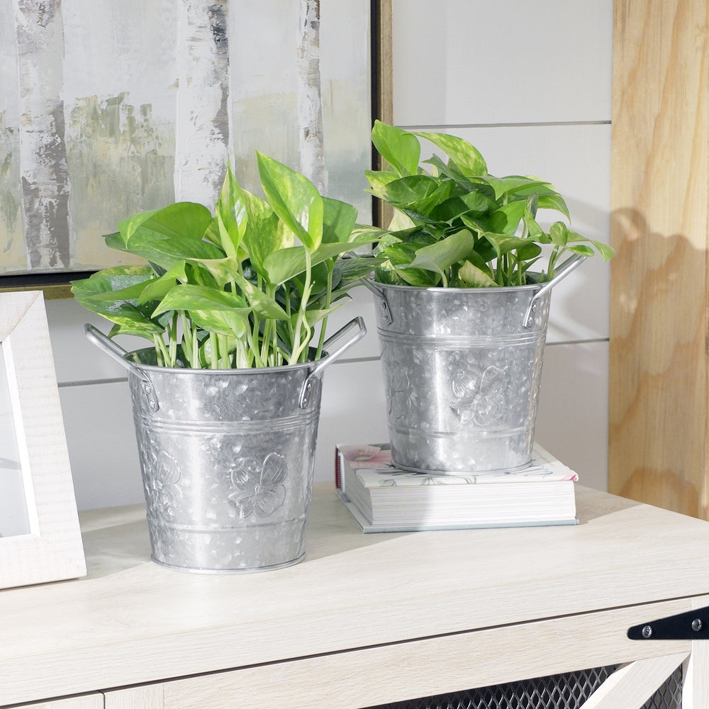 Set of 2 Six-Inch Galvanized Flower Pots with Embossed Dogwood Flower Design by Walford Home